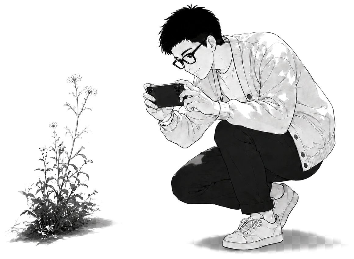 Person crouching to take a photograph beside wildflowers